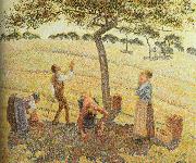 Camille Pissarro Pick  Apples Spain oil painting artist